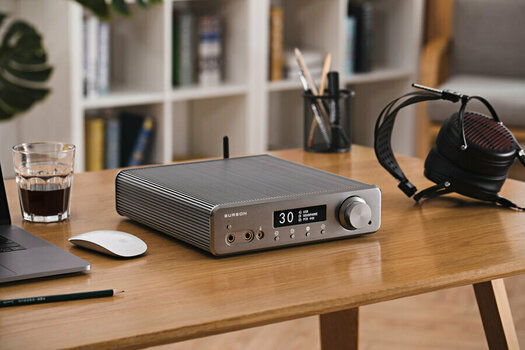 Hi-Fi Wzmacniacz słuchawkowy Burson Audio Conductor 3 Reference Silver - 6