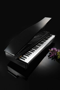 Digitale piano Korg microPIANO BK - 2