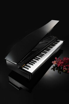 Digitale piano Korg microPIANO BK - 5
