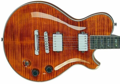 Elektrische gitaar Michael Kelly Patriot Custom - 2