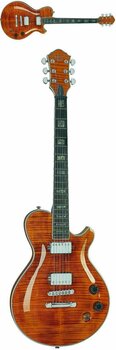 Electric guitar Michael Kelly Patriot Custom - 3