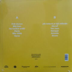 Disco in vinile Aneta Langerová - Dvě slunce (LP) - 1