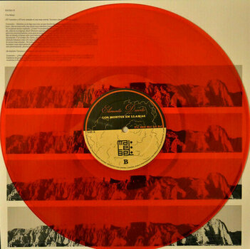 Vinyl Record Elemento Deserto - Los Montes En Llamas (2 LP + CD) - 3