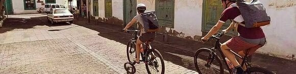 Elektronik til cykling CicloSport Protos 213 - 2