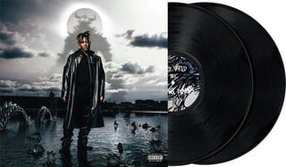 LP deska Juice Wrld - Fighting Demons (2 LP) - 1