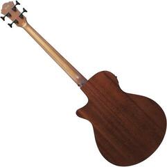 Bajo acústico Ibanez AEGB24E-MHS Mahogany Sunburst Bajo acústico - 1