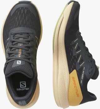 Pantofi de alergare pe șosea
 Salomon Spectur W Ebony/Almond Cream/Leek Green 39 1/3 Pantofi de alergare pe șosea - 6