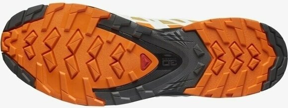 Traillaufschuhe Salomon XA Pro 3D V8 GTX Fall Leaf/Vibrant Orange/White 44 2/3 Traillaufschuhe - 5