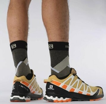 Trail running shoes Salomon XA Pro 3D V8 GTX Fall Leaf/Vibrant Orange/White 46 Trail running shoes - 8