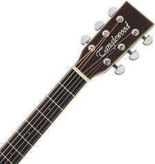 Elektro-akustična dreadnought Tanglewood TW5 E AVB Antique Violin Elektro-akustična dreadnought - 4