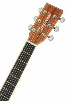elektroakustisk gitarr Tanglewood TW10 E Natural - 5