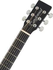 Elektro-akustična dreadnought Tanglewood TWBB SD E Smokestack Black Elektro-akustična dreadnought - 4