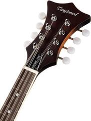 Mandoline Tanglewood TWMF VS E Vintage Sunburst Mandoline - 3