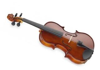 Violin Stagg VN 3/4 Natural Violin - 1