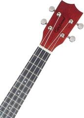 Konzert-Ukulele Tanglewood TWT 3 TR Red Satin Konzert-Ukulele - 3