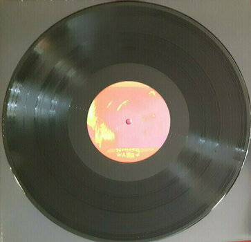 Schallplatte The Avalanches - We Will Always Love You (180g) (2 LP) - 2