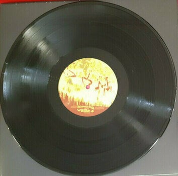 Schallplatte The Avalanches - We Will Always Love You (180g) (2 LP) - 3