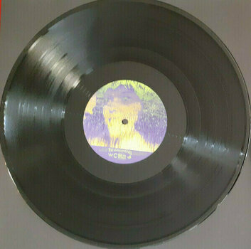 Schallplatte The Avalanches - We Will Always Love You (180g) (2 LP) - 4