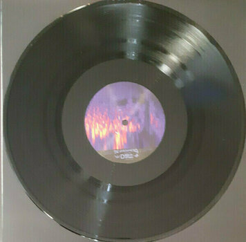 Schallplatte The Avalanches - We Will Always Love You (180g) (2 LP) - 5