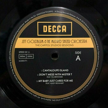 Vinyl Record Jeff Goldblum - Jeff Goldblum And The Mildred Sintzer Orchestra (2 LP) - 2