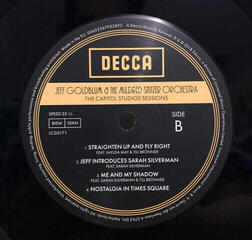 Disque vinyle Jeff Goldblum - Jeff Goldblum And The Mildred Snitzer Orchestra (2 LP) - 2