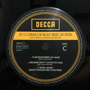 Disco in vinile Jeff Goldblum - Jeff Goldblum And The Mildred Sintzer Orchestra (2 LP) - 4