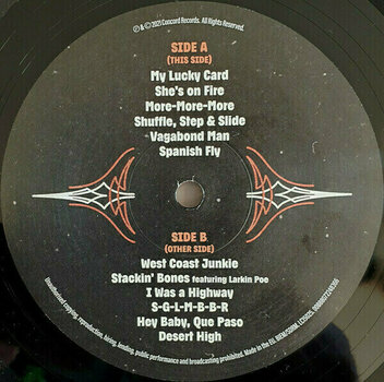 Vinyl Record Billy Gibbons - Hardware (LP) - 3