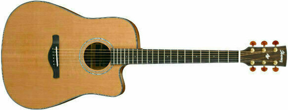 Elektro-akustična dreadnought Ibanez AW 3050CE LG - 2