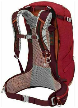 Outdoor Backpack Osprey Stratos 34 Poinsettia Red Outdoor Backpack - 3