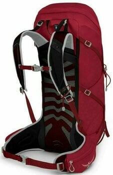 Outdoor Backpack Osprey Talon III 36 Cosmic Red L/XL Outdoor Backpack - 2