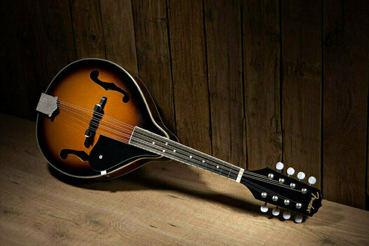 Мандолина Fender FM-100 Mandolin Pack Sunburst - 3