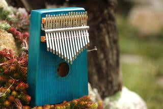 Kalimba Veles-X Woodman Blue Kalimba - 4
