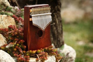 Kalimba Veles-X Woodman Dark Brown Dark Brown Kalimba - 5