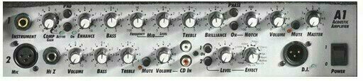Combo voor elektroakoestische instrumenten Laney A1 65W 1x10 - 4