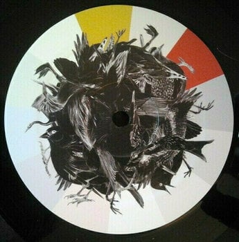 Vinyl Record Dominik Eulberg - Avichrom (LP Set) - 6
