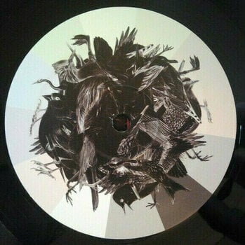 Disque vinyle Dominik Eulberg - Avichrom (LP Set) - 7