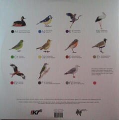 Δίσκος LP Dominik Eulberg - Avichrom (LP Set) - 7