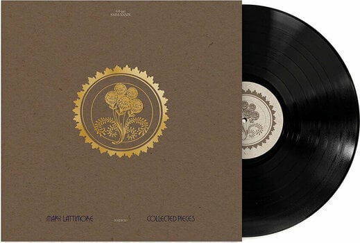 Disc de vinil Mary Lattimore - Collected Pieces: 2015 - 2020 (2 LP) - 2