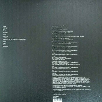 Disque vinyle Kelly Lee Owens - Inner Song (LP) - 2