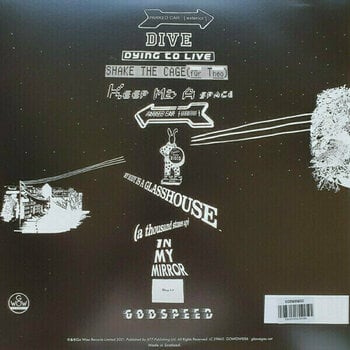 LP platňa Glasvegas - Godspeed (Indies Exclusive Green Vinyl) (LP) - 4