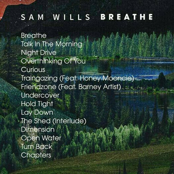 Vinyl Record Sam Wills - Breathe (2 LP) - 2