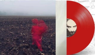 Vinyylilevy Will Varley - The Hole Around My Head (Red Vinyl) (LP) - 1