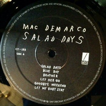 Vinyl Record Mac DeMarco - Salad Days (LP) - 2