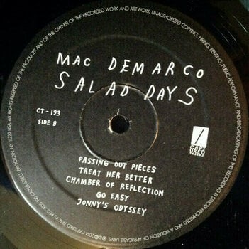 Vinyl Record Mac DeMarco - Salad Days (LP) - 3