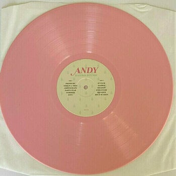 Δίσκος LP Raleigh Ritchie - Andy (Rose Colour Vinyl) (LP) - 2