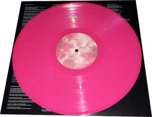 LP The Lottery Winners - Something To Leave The House For (Pink Vinyl) (LP) - 1