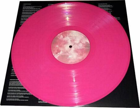 Schallplatte The Lottery Winners - Something To Leave The House For (Pink Vinyl) (LP) - 2