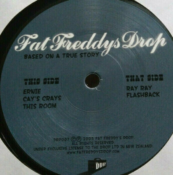 Vinyl Record Fat Freddy's Drop - Based On A True Story (2 LP) - 2