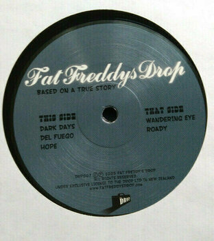 Vinyl Record Fat Freddy's Drop - Based On A True Story (2 LP) - 3
