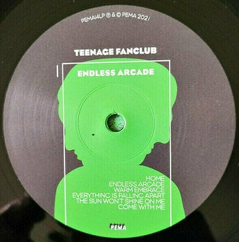 Disque vinyle Teenage Fanclub - Endless Arcade (LP) - 2
